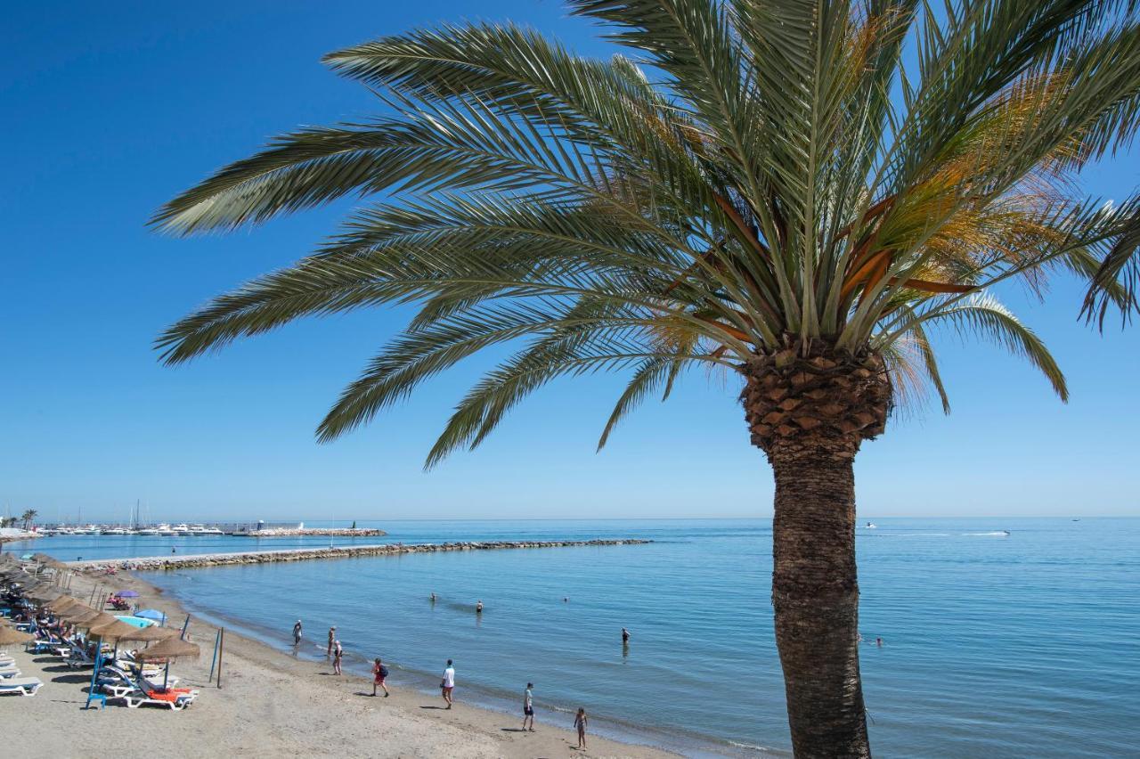 Cibeles...Estudio En El Paseo Maritimo....Wifi Marbella Exterior photo